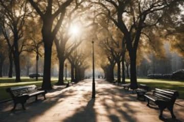 Best Coffee Shops in Santa Ana CA