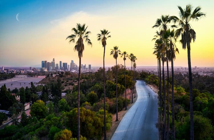 Fun in the Sun in Los Angeles